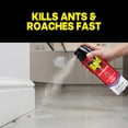 thumbnail image 4 of (3 pack) Raid Ant & Roach Insect Killer, Indoor Insecticide, Residual Killing Power, Lavender Scent, 17.5 oz, 4 of 16