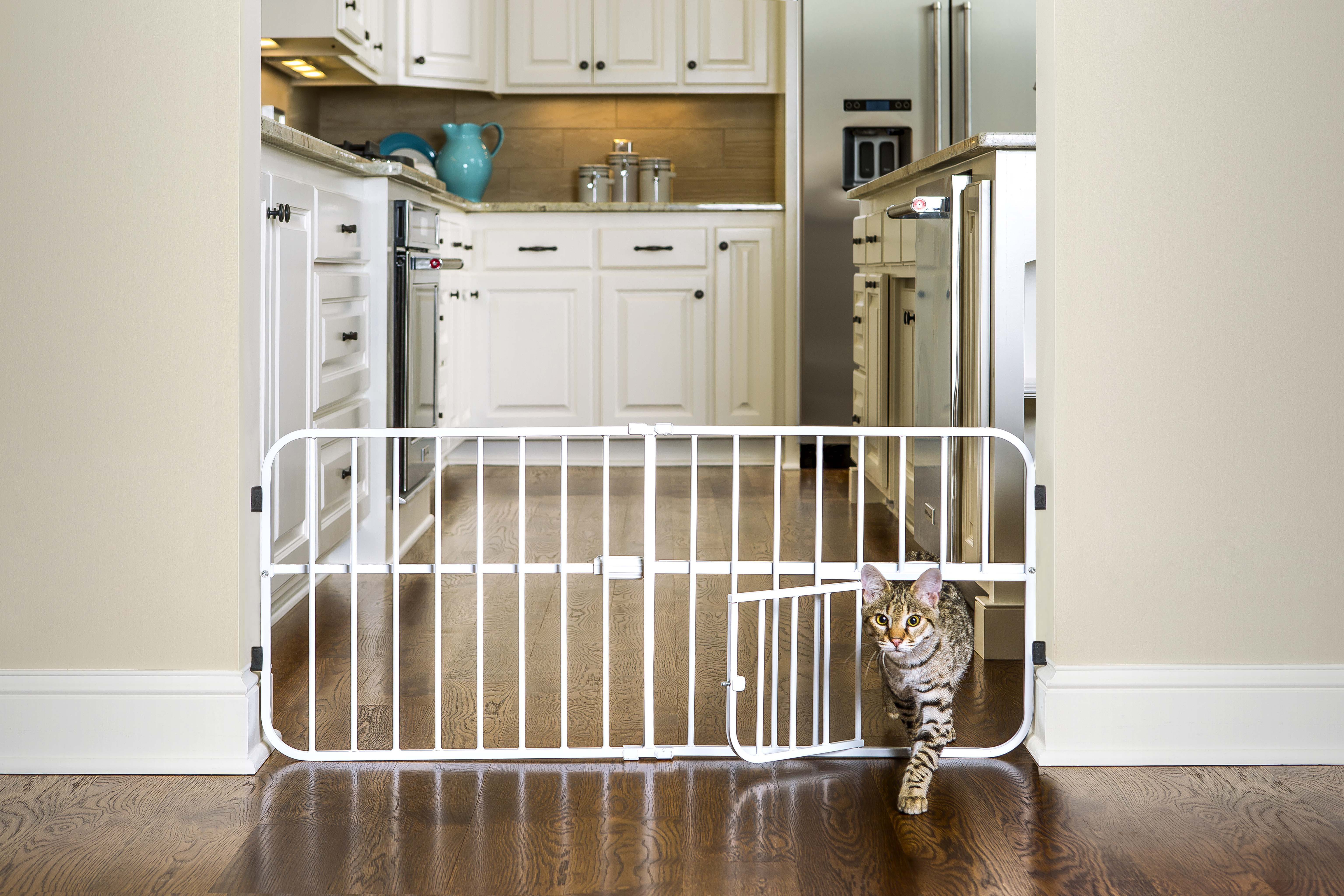 Carlson 2025 mini gate