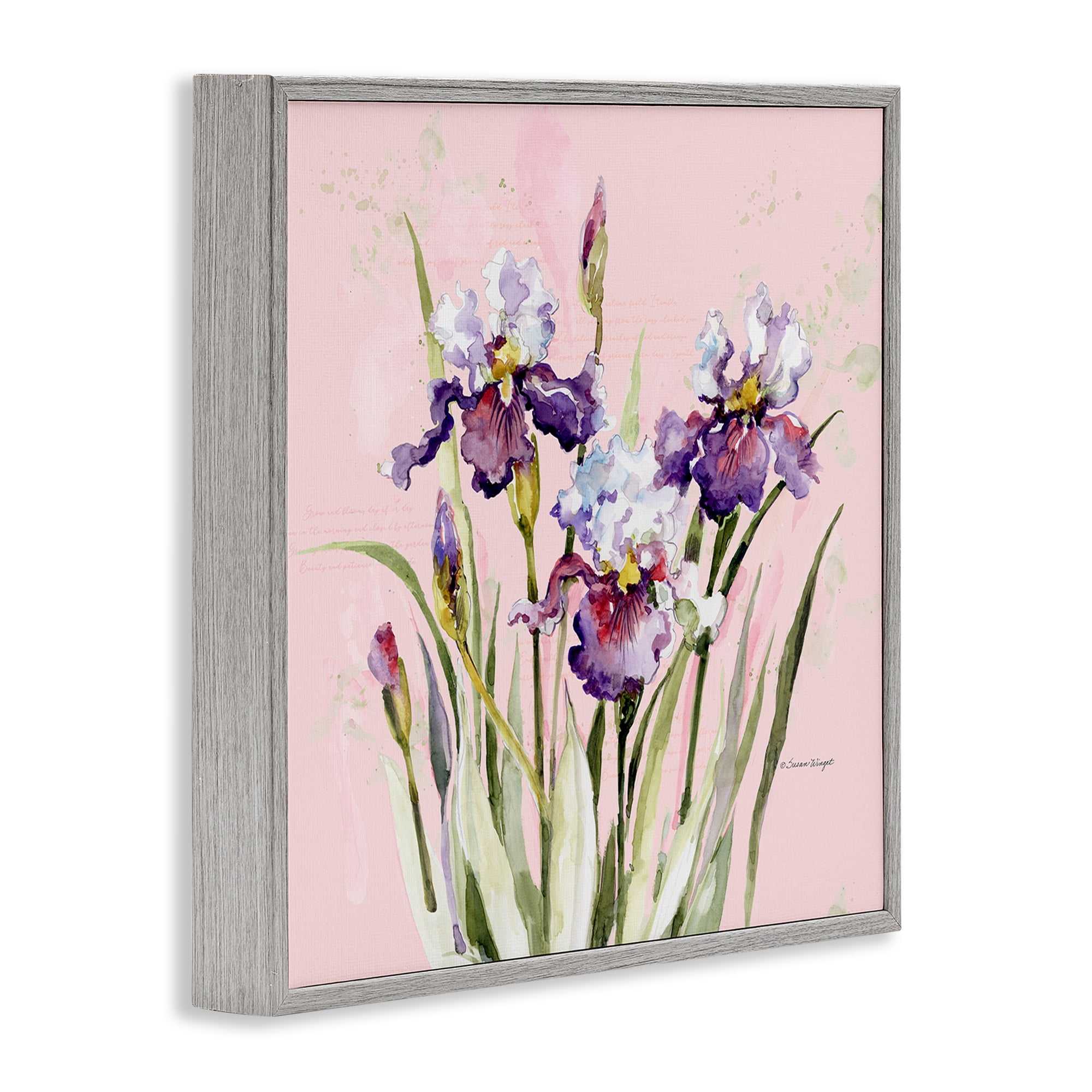 Stupell Industries Purple Irises on Pink Gray Framed Giclee Art, design by Susan Winget