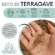thumbnail image 5 of Kit 4 Cajas Organizadoras de Plástico Biodegradable Terragave  Tipo Rattan (Menta), 5 of 5