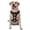 Without Accessories, variant on Vsdgher Chemistry Tools 1 Pattern Dog Harness,No Pull Pet Harness with Soft Padded Handle,Adjustable Reflective Vest with 2 Buckles,4 Slide Buckles,S-XL X-Large