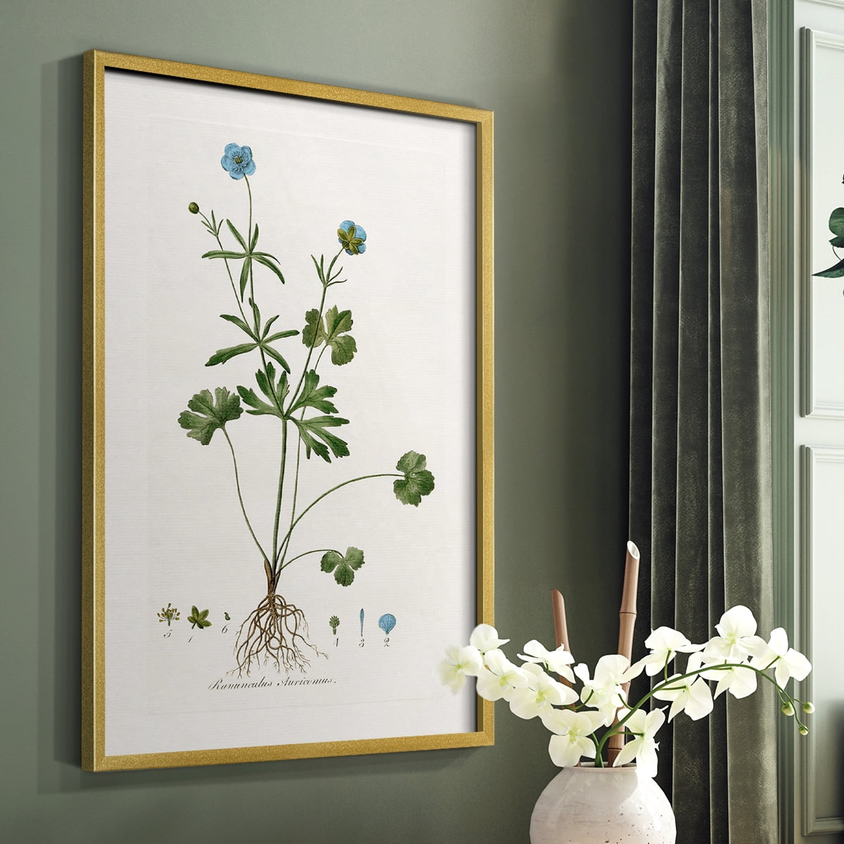 Buttercup Study Framed Print in Gold Solid Wood Framed Print No Nail Hanging