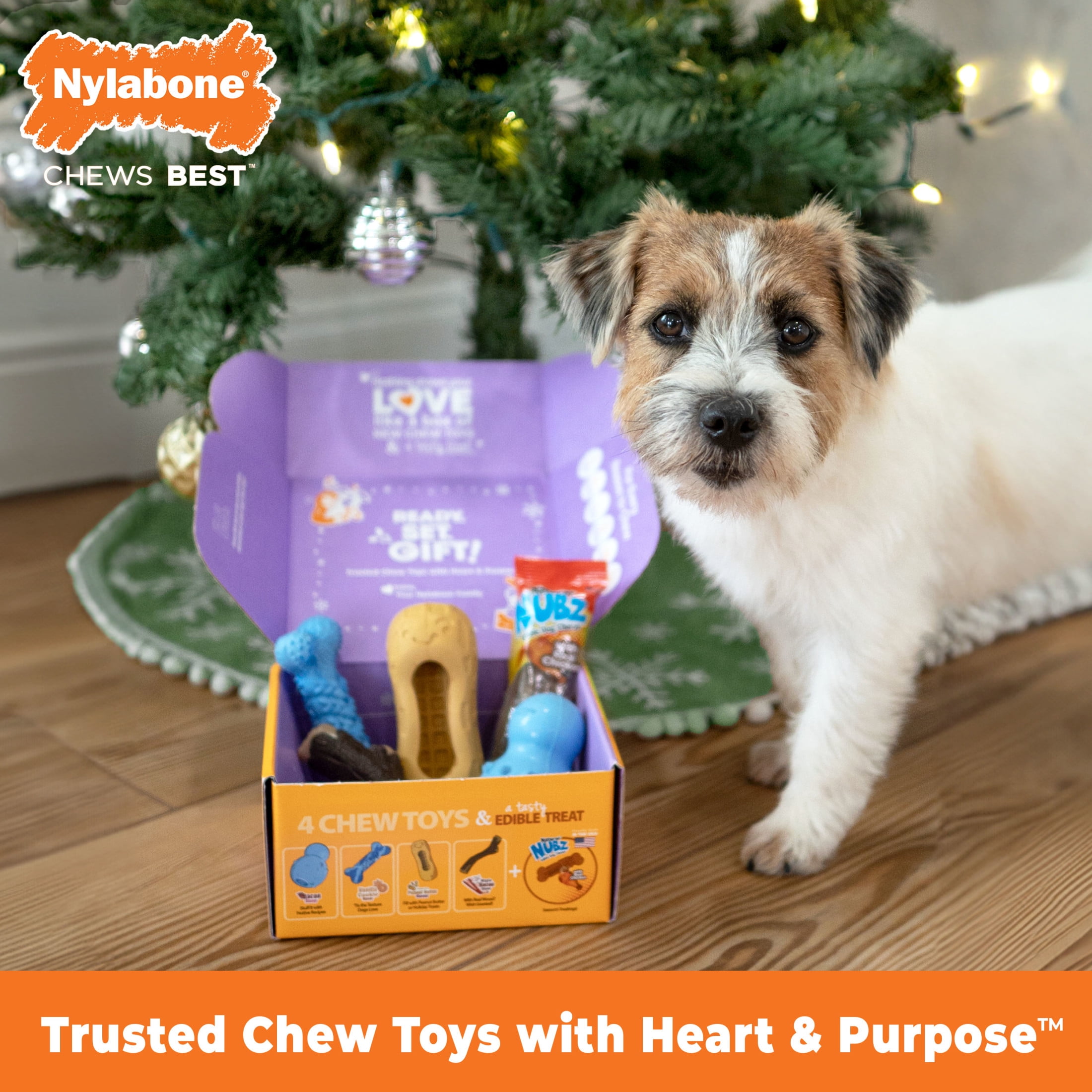 Nylabone Strong Chew Holiday Box - Small Chew Toys & Treat Gift Box Small (5 Count)