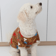 thumbnail image 3 of GASTROPOD Dog Sweater,Expert Craftsmanship for Ultimate Comfort Dog Clothes,Stylish and Versatile Design for Any Occasion Puppy Clothes,XS, 3 of 4