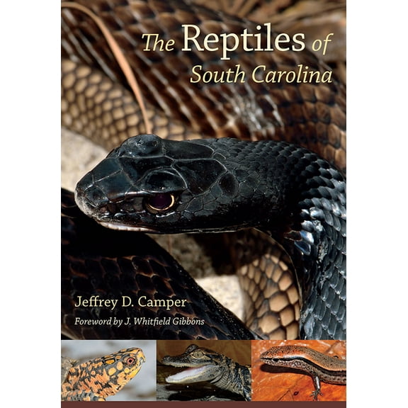 The Reptiles of South Carolina (Paperback)