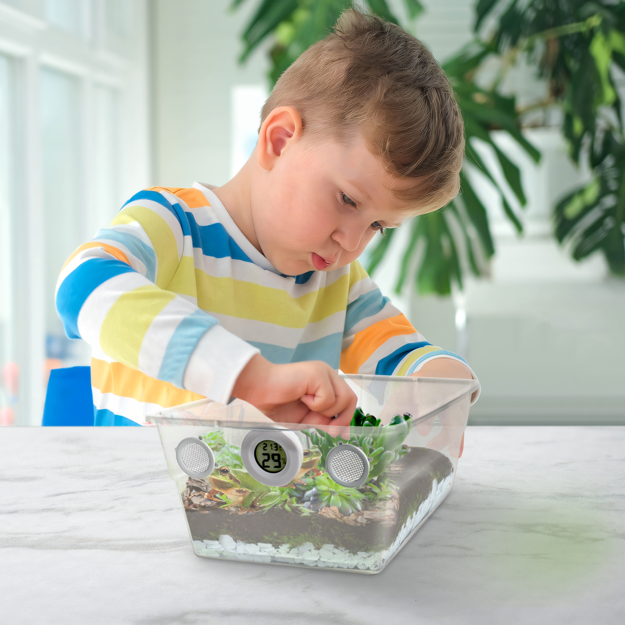 6 Quart Clear Vented Terrarium Habitat with Digital Hygrometer for Isopods Small Bugs Insects Pets