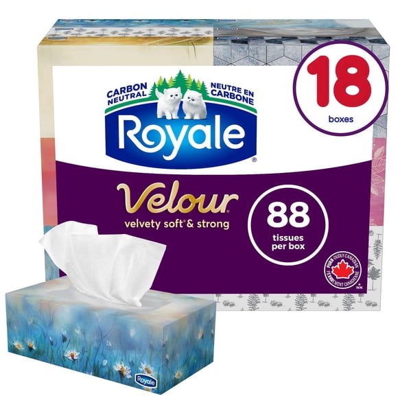 Mouchoirs Royale Velour, 18 boîtes, 88 mouchoirs par boîte