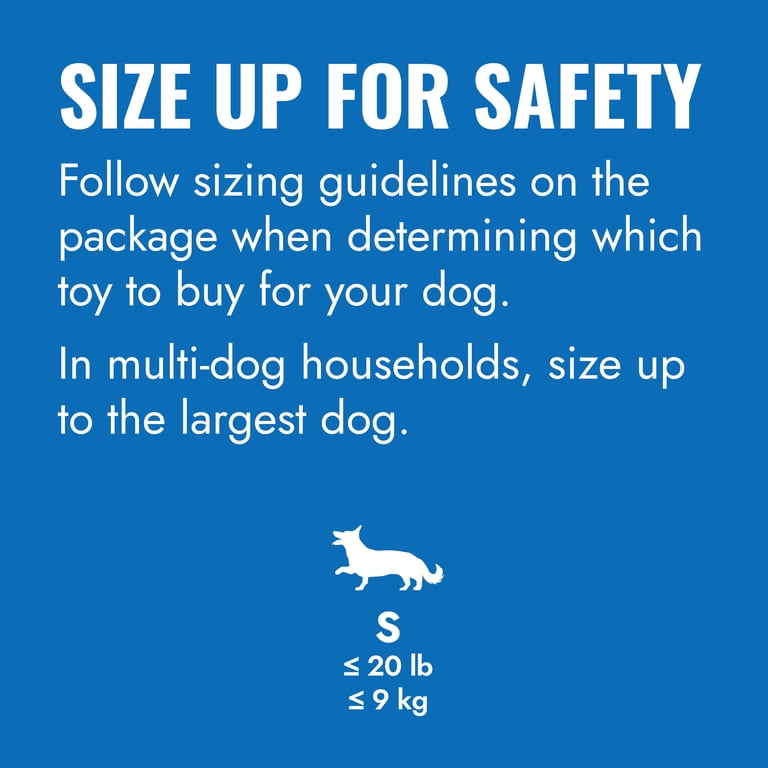 KONG Puppy Goodie Bone, Small Blue Chew Toy photo 3