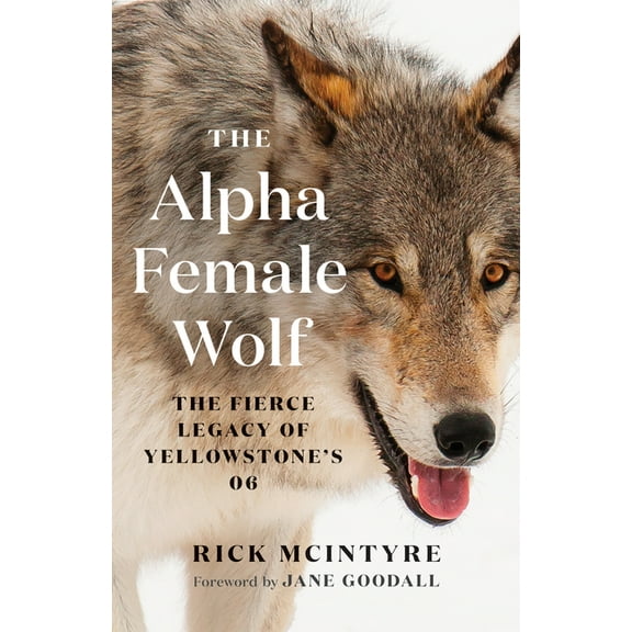 The Alpha Wolves of Yellowstone The Alpha Female Wolf: The Fierce Legacy of Yellowstone's 06, (Paperback)