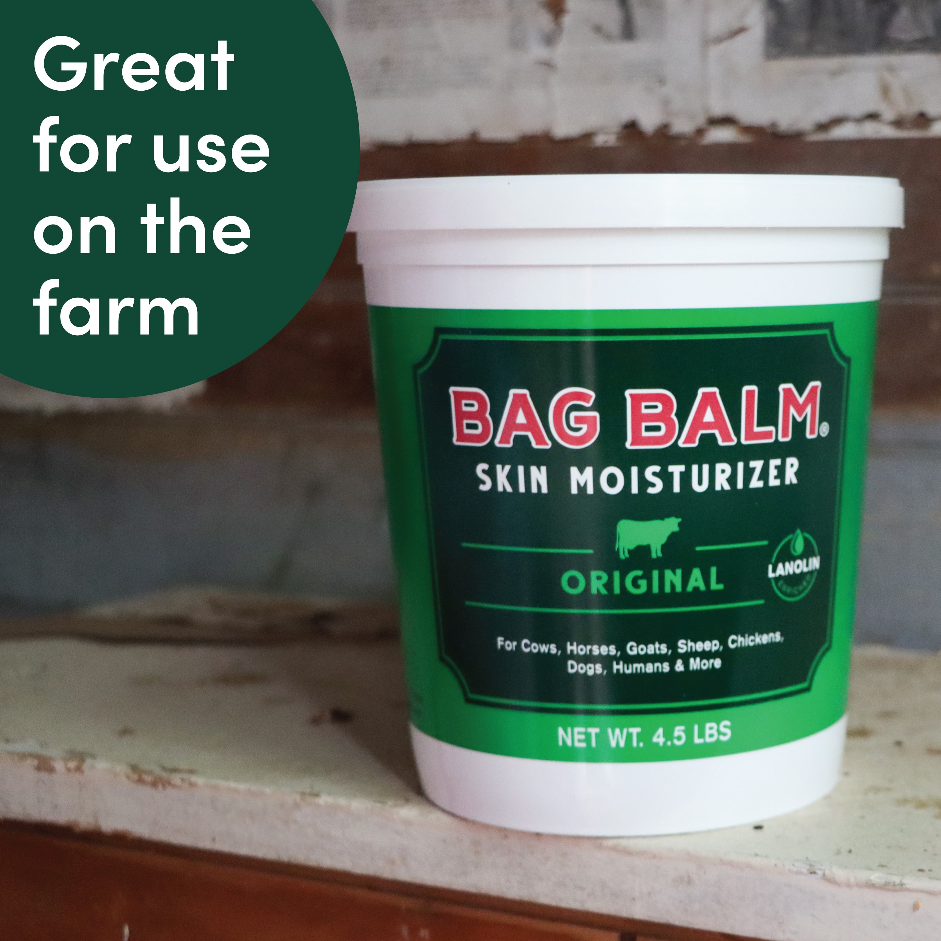 (2 pack) Vermont's Original Bag Balm Moisturizing Ointment for Animals, Pets, Livestock, Paws, Jumbo Pail