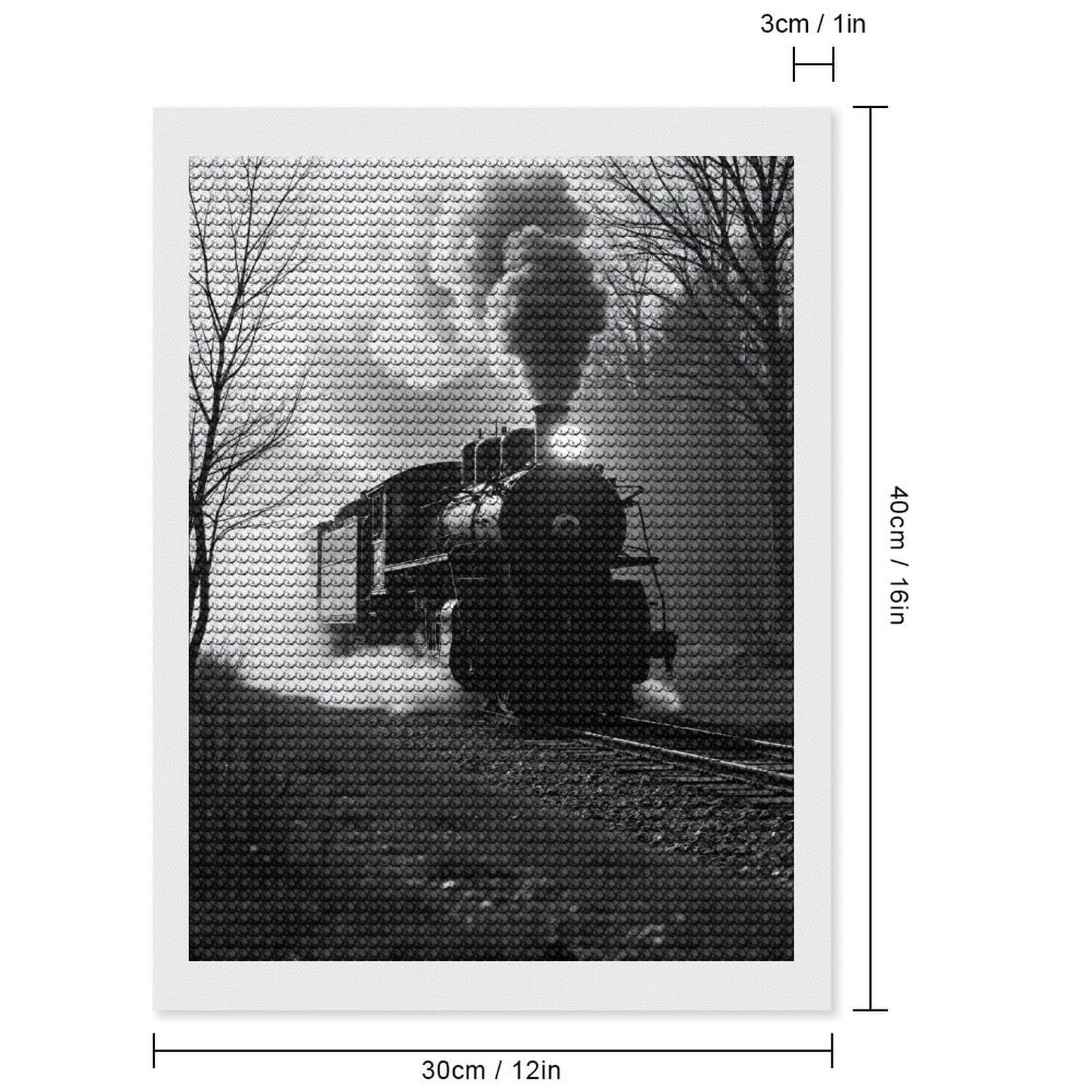 Diamond Art Kits for Adults, Train Black And White Forest 5D Diamond Painting Kits for Adults Beginners, DIY Full Drill Diamond Painting, Gem Art and Crafts 12x16