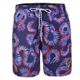thumbnail image 1 of TRAJE DE BAÑO CABALLERO MARCA MAUI AND SONS MAUI AND SONS 321828-TRAJE DE BAÑO, 1 of 6