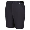 thumbnail image 3 of Regatta Shorts de Voyage Légers pour Hommes, 3 of 5