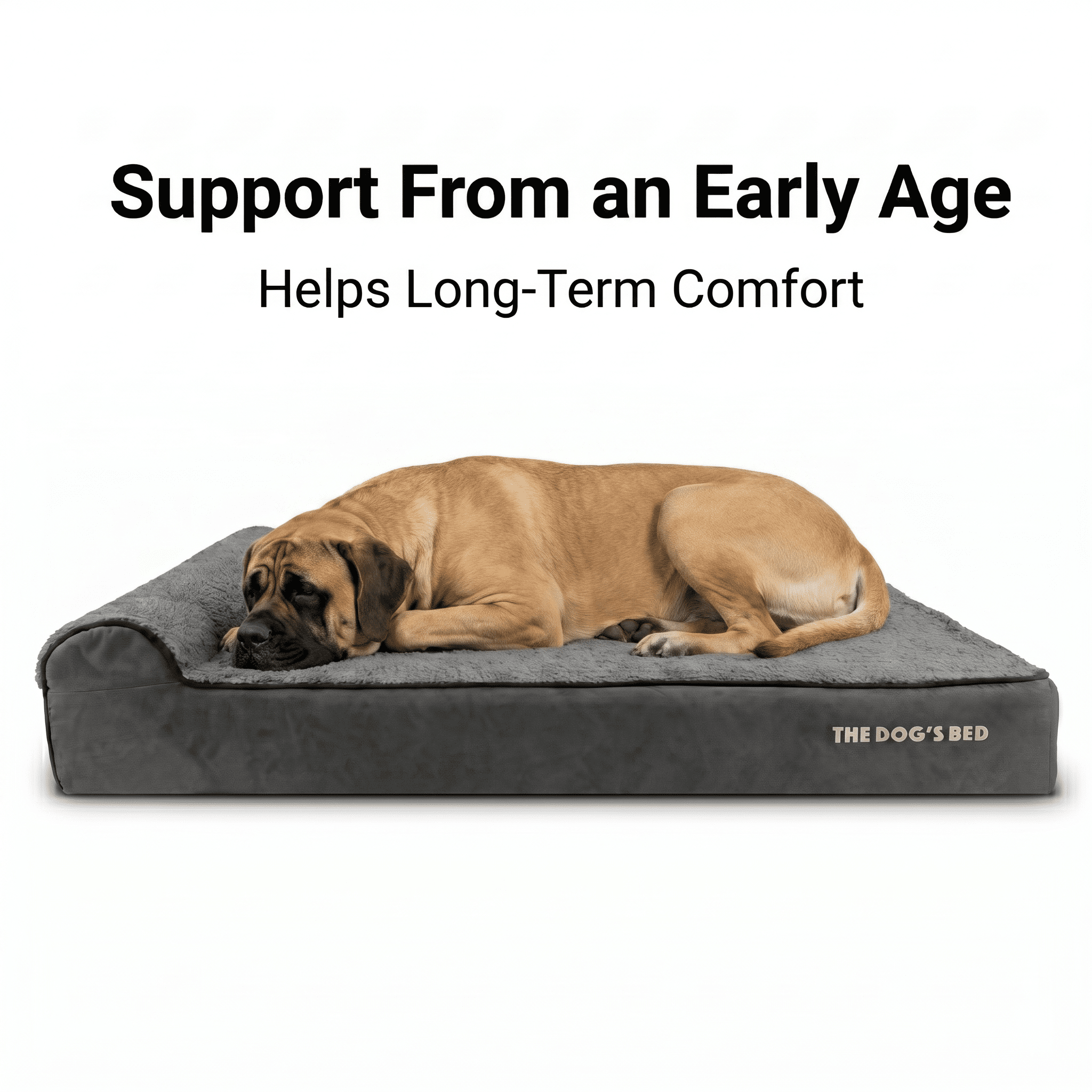 The Dog’s Bed Orthopedic Headrest Dog Bed XXL Grey Plush 54x36, Memory Foam, Pain Relief for Arthritis, Hip & Elbow Dysplasia, Post Surgery, Lameness, Supportive, Calming, Waterproof Washable Cover