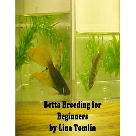 Betta Breeding for Beginners - eBook (Best Environment For Betta)