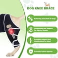 thumbnail image 6 of Dog Rear Hip Support Brace, Black, Size L, 1 Piece - Ideal For Canine Hip & Leg Joint Support, Adjustable Fit For Enhanced Mobility, Comfortable Dog Leg Protection For Active, 6 of 7