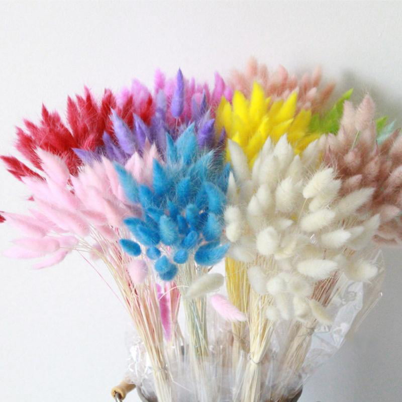 30x Colorful Rabbit Tail Grass Lagurus OVATUS BUNNY Dried Bouquets Flowers G8E6 