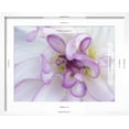 thumbnail image 5 of Art.com Purple Flower Photographic Print by Michele Westmorland, White Frame Wall Art, 21" x 17", 5 of 5