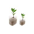 thumbnail image 1 of 200 plant sacks plant sacks made of fleece plant sacks biodegradable (8 × 10, 16 × 20 cm), 1 of 5