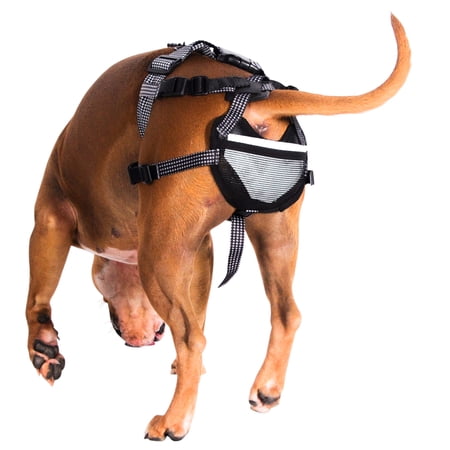 Pet Anti-Breeding System (Large)