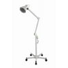 Infrared Heat Lamp - Skin Care and Muscle Therapy - Silver Fox (Free Shipping)