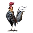 thumbnail image 4 of Xihbxyly Escultura de Gallo Dorado, Obra Creativa de Hierro, Diseño de Cola Desmontable, Pintura Multicolor Vibrante, Decoración para Jardín, Uso Interior y Exterior, Tamaño 41X37X11Cm, 4 of 7
