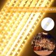 thumbnail image 3 of Guirnalda de luces de meteoritos de 30 cm, 10 luces transparentes impermeables, 288 LED, ideal para decorar árboles de Navidad en exteriores (blanco cálido), 3 of 5