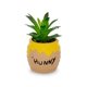 thumbnail image 1 of Minimoleta de cerámica plateada Buffalo Disney Winnie The Pooh, 1 of 7