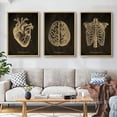 thumbnail image 3 of Póster médico Vintage, carteles de ilustración de anatomía, impresiones de jaula de costilla/corazón humano/cerebro/Pintura de Calavera, arte de clínica para el hogar, decoración de pared, 3 of 4