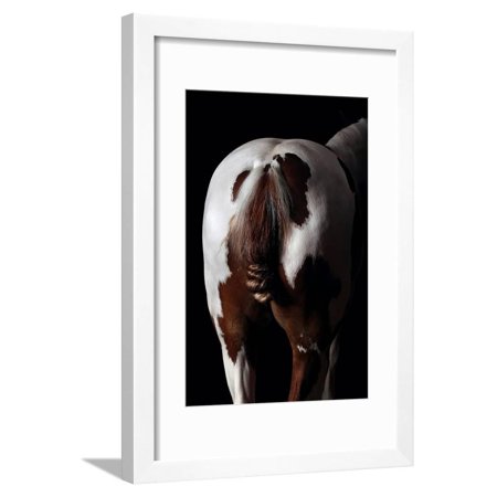 Horse Framed Print Wall Art By Fabio Petroni