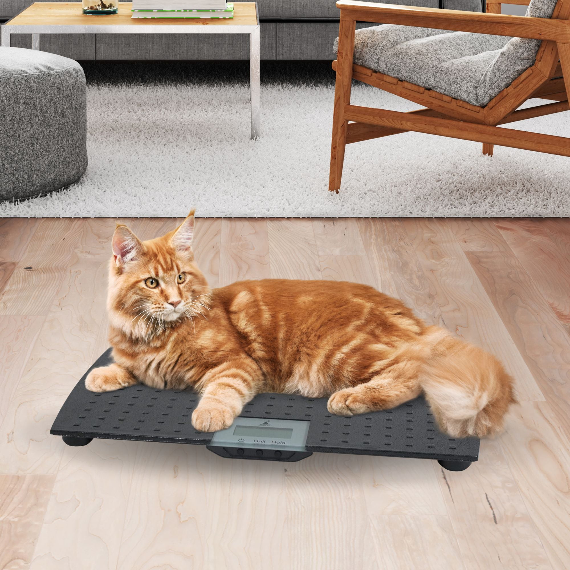 1100 Lbs Large Digital Pet Scale Cat Dog Animal Scale Stainless