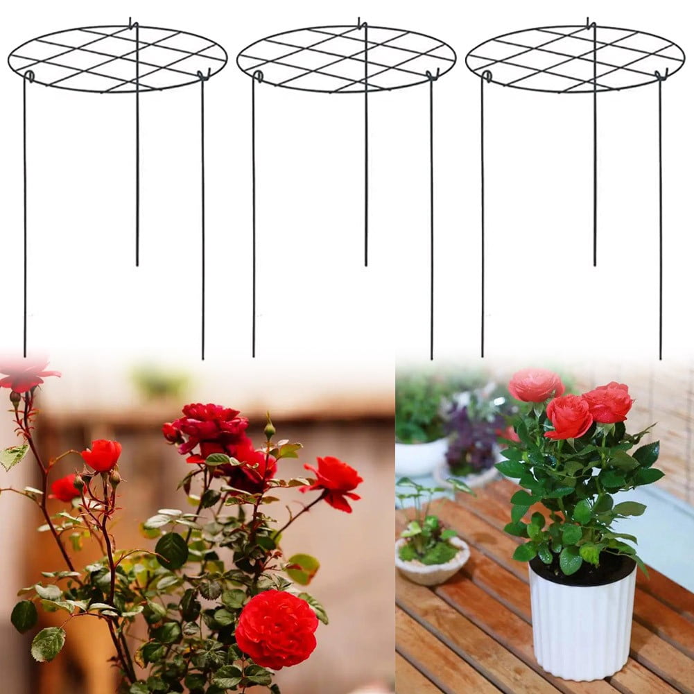 RichLink 3Pcs Plant Climbing Frame Hydrangea Rose Bracket Creative Climbing Flower Bracket Gardening Green Plant Support Bracket Fixed Ro,Grid type