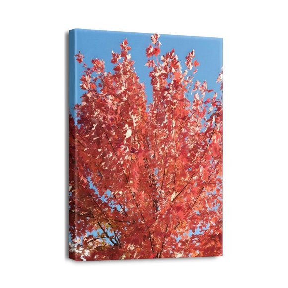 Modern Scenery Draw Art Prints - 12x16 - Depicting a Beautiful Tree, Perfect for Bedroom, Office, Kitchen Wall Decorations