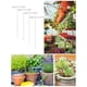 thumbnail image 1 of Crecimiento De Plantas 20 Led Luz De Crecimiento Lámpara De Anillo Usb De Espectro Completo Para Plantas De Interior Suculentas Semillas Inicio Luces De Cultivo De Flores Para El Hogar, 1 of 6