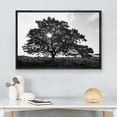 thumbnail image 3 of wall26 Framed Canvas Print Wall Art Sunlight Shines Through Large Mountain Tree Floral Nature Photography Realism Expressive Dark Black and White for Living Room, Bedroom, Office - 16"x24", 3 of 5