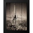 thumbnail image 2 of Prime, Marcus 15x18 Black Modern Framed Museum Art Print Titled - Western Vibes, 2 of 5