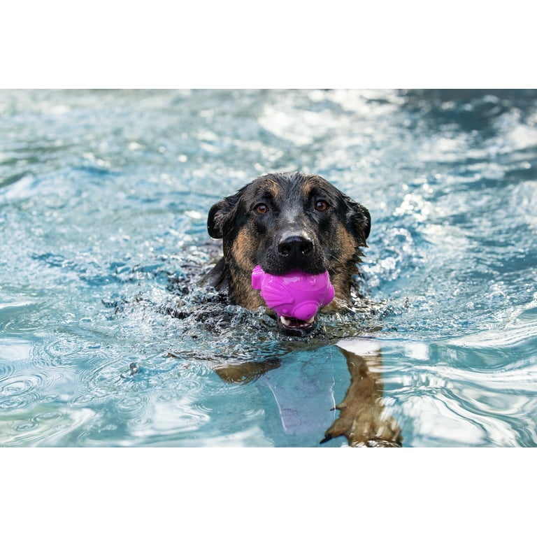 BARK Super Chewer Rubber Dog Toy - Floatus Blowfish - Walmart.com