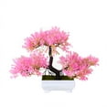 thumbnail image 2 of Trigeminal Small Cui Simulation Plant Ornaments Bonsai Potted Plantsa, 2 of 4