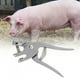 thumbnail image 3 of Alicates Para Etiquetas De Oreja De Cerdo, Pinzas Para Orejas, Alicates Para Marcar Orejas, Alicates Para Etiquetas Para Orejas De Ganado, Marcado Veterinario Con Resorte,, 3 of 7