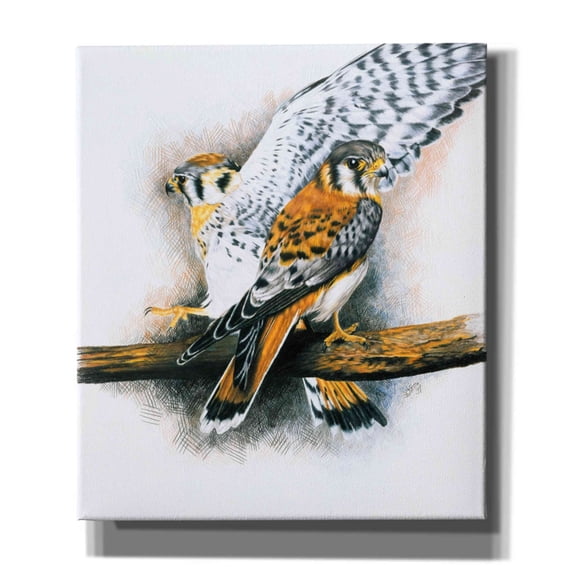 Epic Graffiti 'Elegant Raptor' by Barbara Keith, Canvas Wall Art, 26"x30"