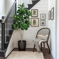 thumbnail image 6 of Towallmark 6-Feet Artificial Fiddle Leaf Fig Tree, Fake Lyrata Fig Plants Green Tree with Pot for Indoor Outdoor Home Office Living Room Bathroom Decor, 6 of 7