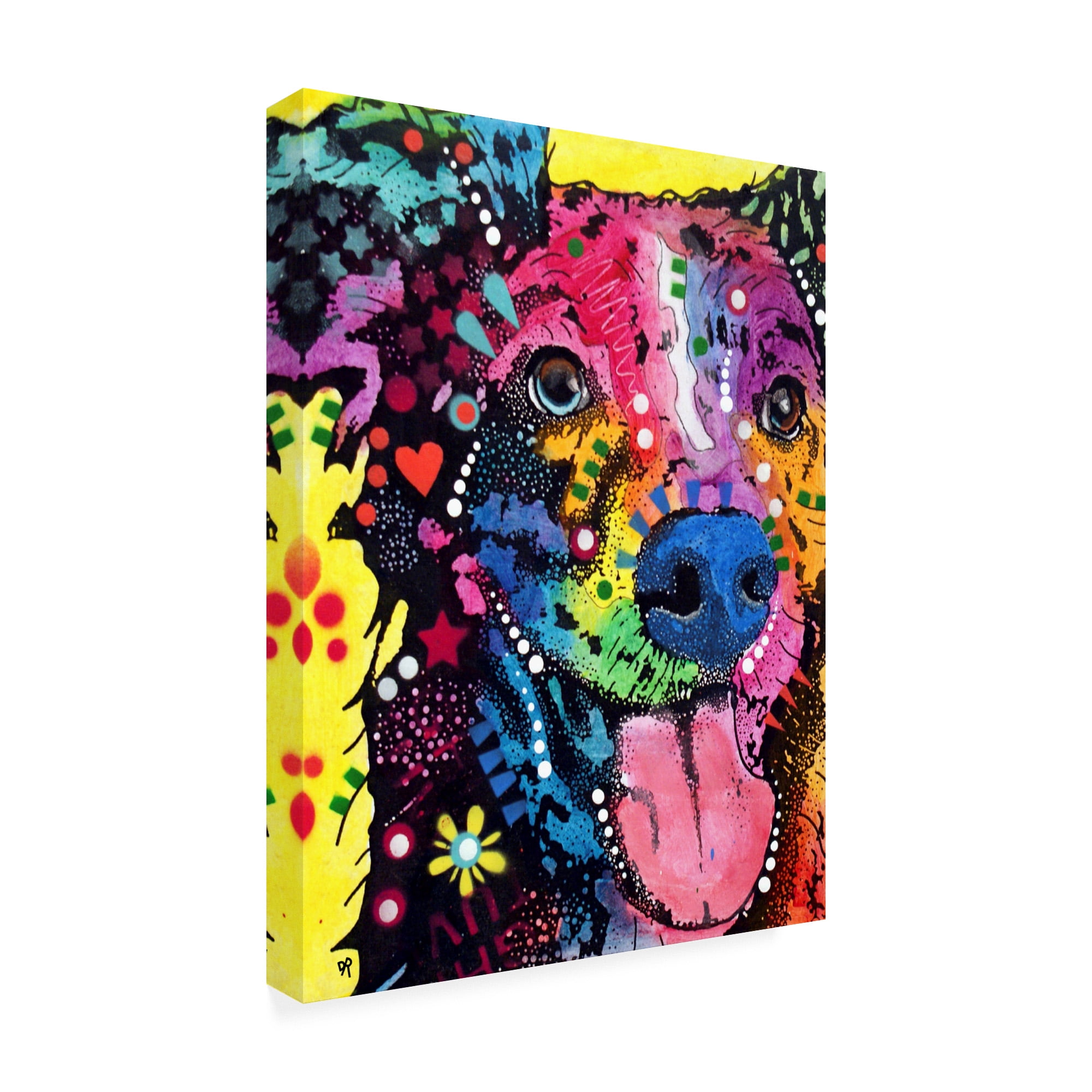 Aussome' Canvas Art by Dean Russo