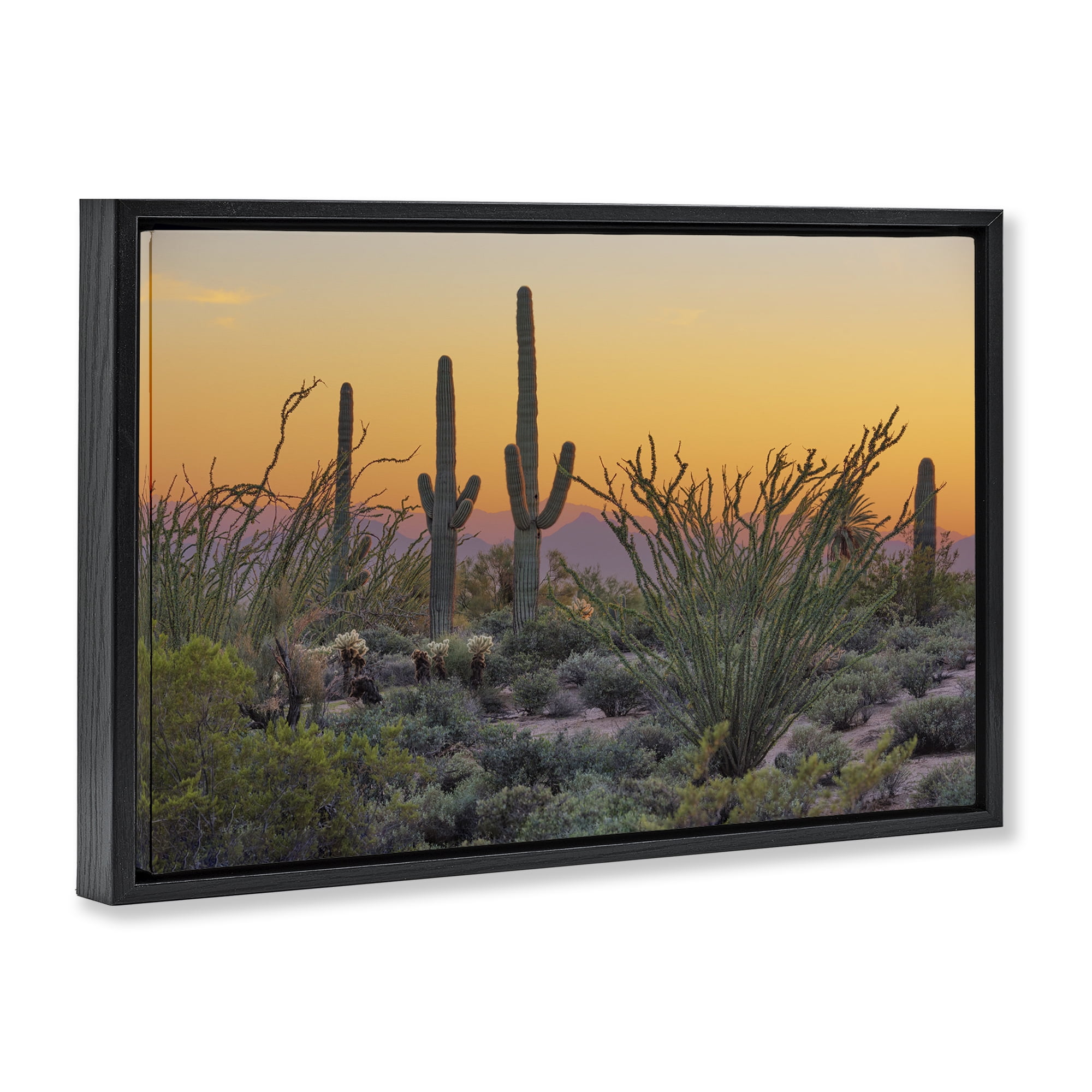 Stupell Industries Sunset Desertscape Cacti Landscape & Nature Photography Black Floater Framed Canvas Art Print Wall Art, 31 x 21