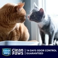 Fresh Step Clean Paws Ultra Absorb Clumping Cat Litter with Febreze and