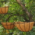 Windfall Metal Hanging Planter Basket Round Wire Plant Holder With
