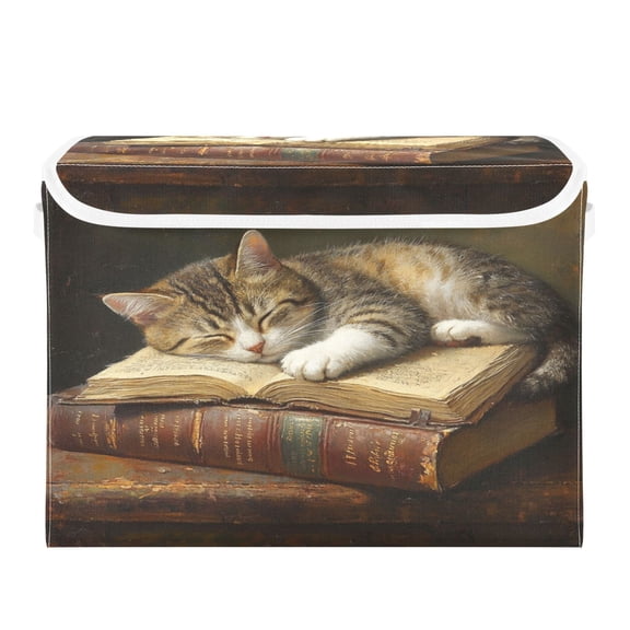 Storage Box With Lid 16.5x12.6x11.8In Foldable Stacked Household Storage Box Book Sleeping Kitten