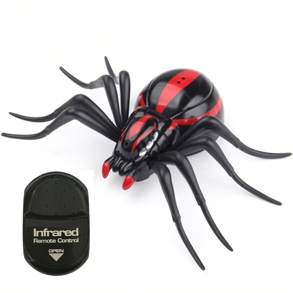 RC Remote Control Animal Insect Toy Kit for Child Kids Cockroach Spider Ant  | Walmart Canada