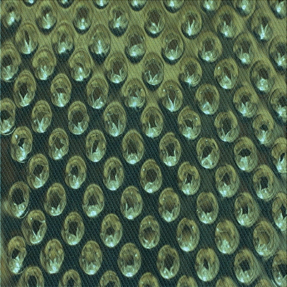 Ahgly Company Indoor Square Patterned Dark Forest Green Area Rugs, 8' Square