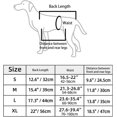 thumbnail image 4 of Dog Lift Harness, Adjustable Pet Walking Aid With Handles And Buckle For Aging Dogs, Disabled Dogs With Weak Feet, 4 of 5