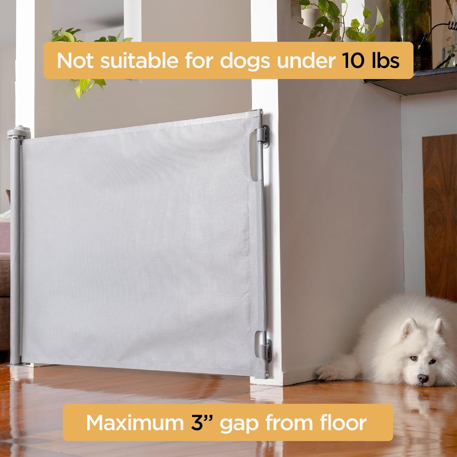 Philowng Indoor and Outdoor Claw-Proof Retractable Dog Gate, 36.6" High Extends up to 71" Wide, gray